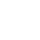 Dynamic Pricing